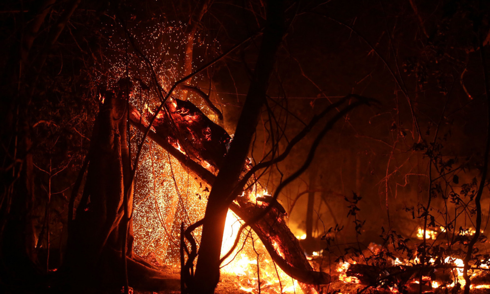 orcamento-nao-vai-faltar-no-combate-aos-incendios-no-pantanal,-diz-tebet-no-ms