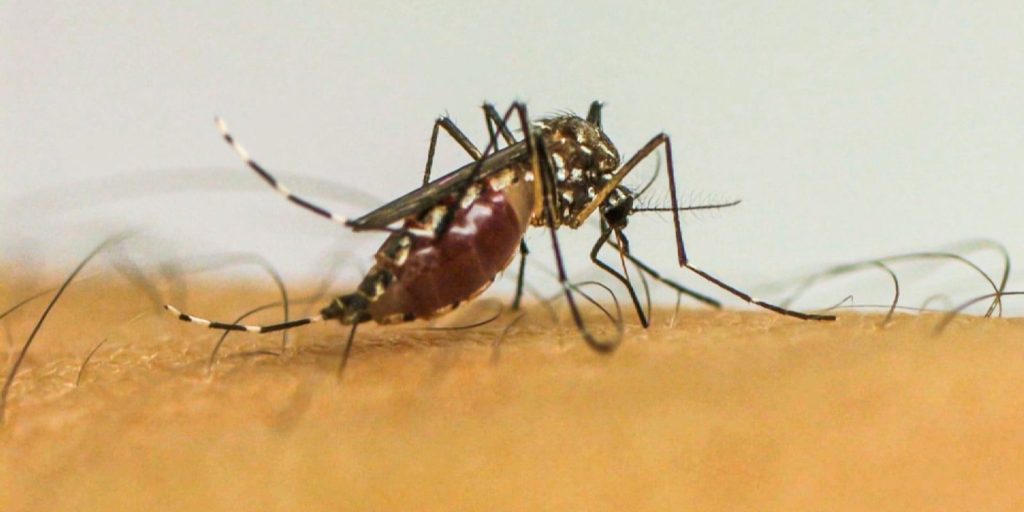 dengue:-minas-gerais-decreta-fim-da-emergencia-em-saude-publica