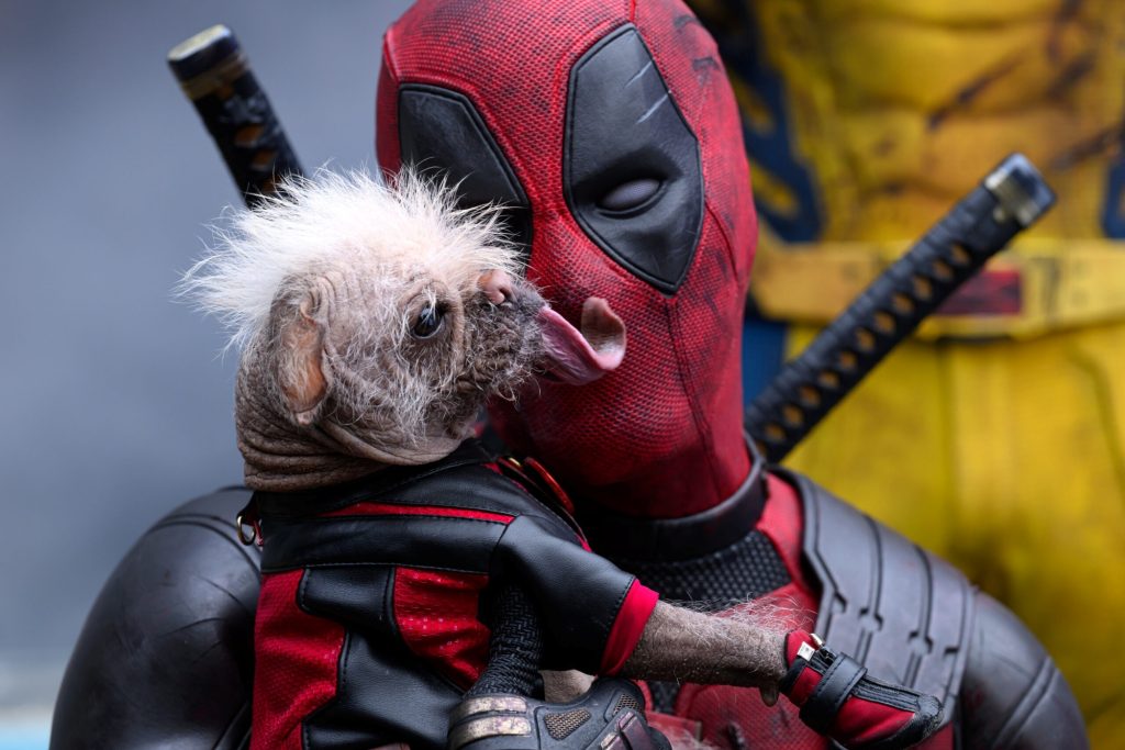 17-filmes-(e-1-serie)-para-ver-e-entender-as-piadas-de-deadpool-&-wolverine