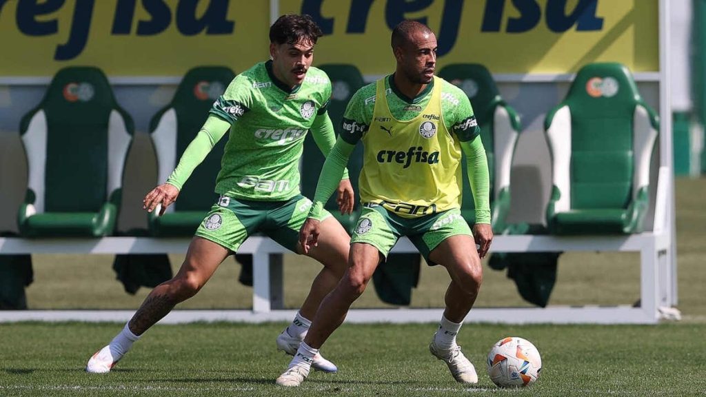 palmeiras-pode-ter-o-reforco-de-mayke-para-jogo-com-o-botafogo