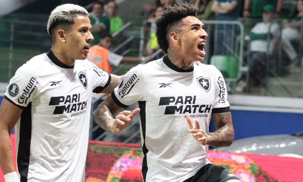 palmeiras-tem-gol-anulado-no-final,-fica-no-empate-com-o-botafogo-e-esta-eliminado-da-libertadores