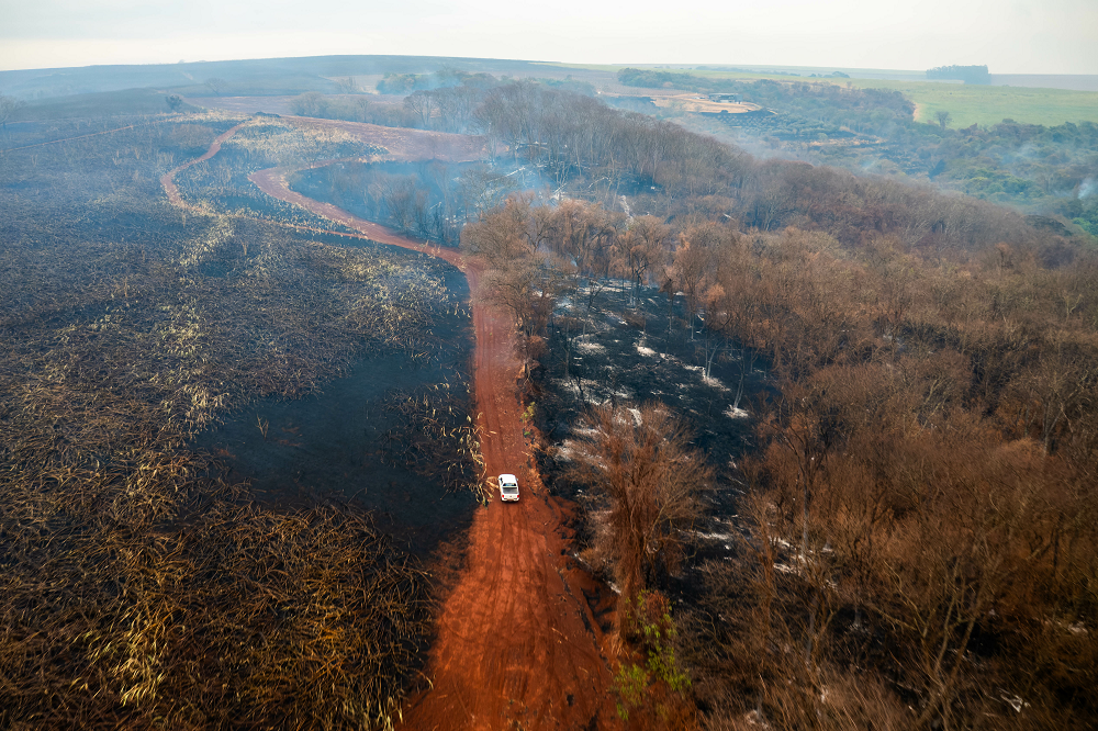 governo-de-sp-envia-ajuda-humanitaria-para-desabrigados-por-causa-dos-incendios;-46-municipios-estao-em-alerta-maximo