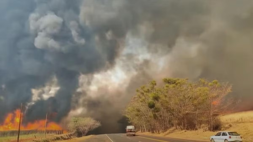 fumaca-de-queimadas-interrompe-rave-no-interior-de-sao-paulo-e-mais-de-500-pessoas-sao-atendidas