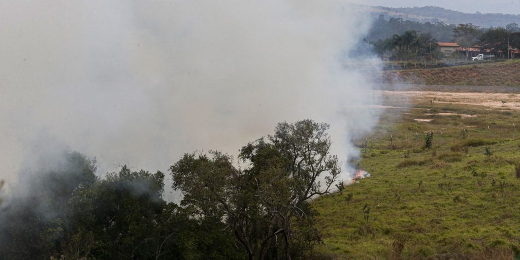 fundo-auxiliara-produtores-rurais-atingidos-por-incendios-em-sp