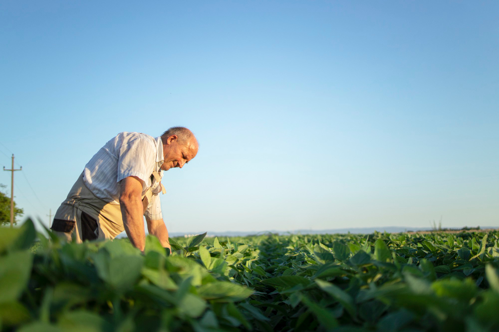 destaques-negativos-do-pib-do-2o-tri-ante-1o-tri-foram-agro-e-industria-extrativa,-aponta-ibge