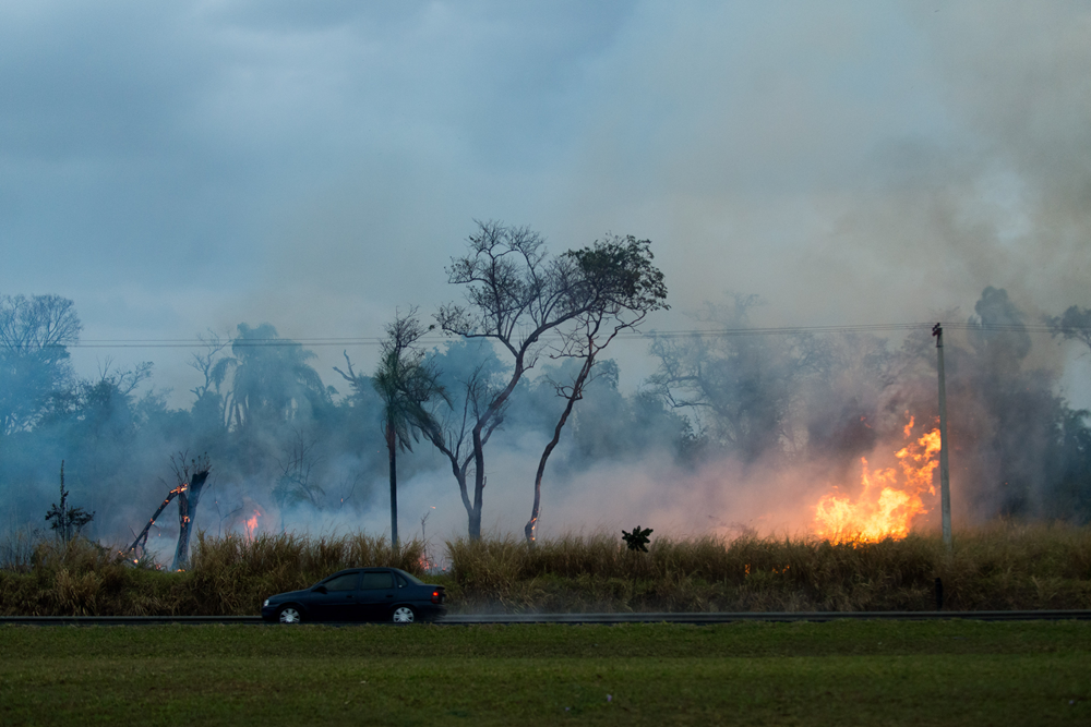 governador-de-mato-grosso-e-deputado-pedem-por-penas-mais-duras-em-casos-de-incendio