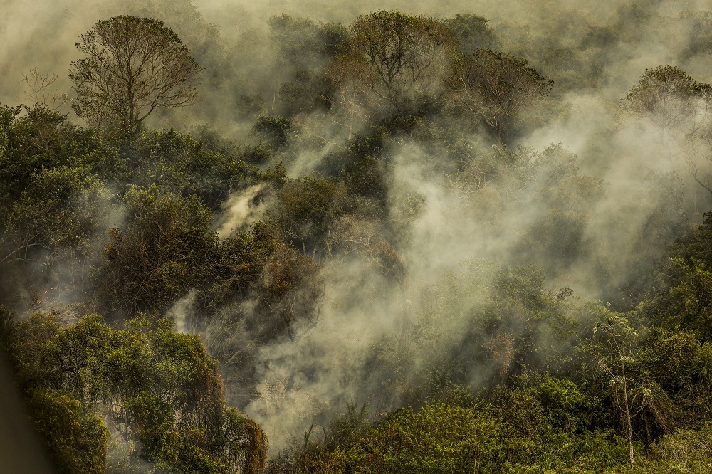 subcomissao-do-pantanal-no-senado-fara-visita-ao-mato-grosso-para-analisar-os-danos-causados-pelo-fogo