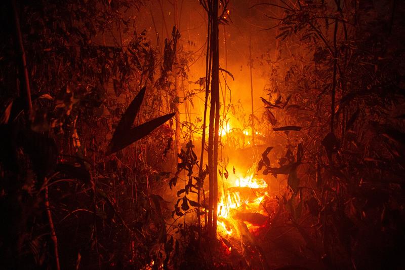 governo-anuncia-credito-extraordinario-de-r$-514-milhoes-para-combater-incendios