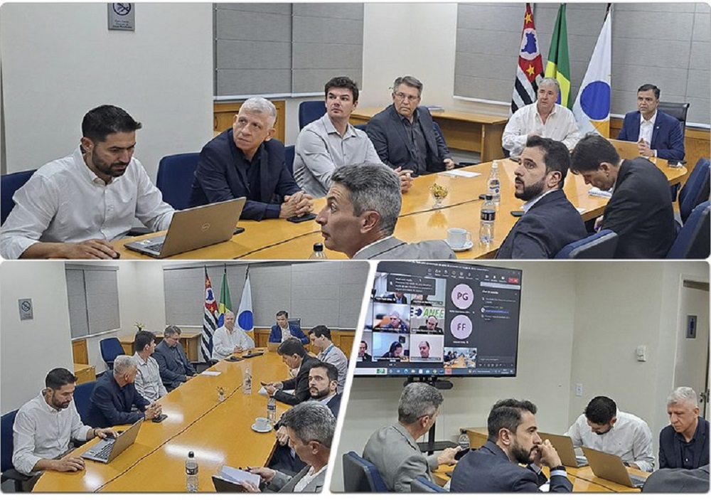 aneel-reune-distribuidoras-para-preparacao-contra-chuvas-intensas-em-sao-paulo