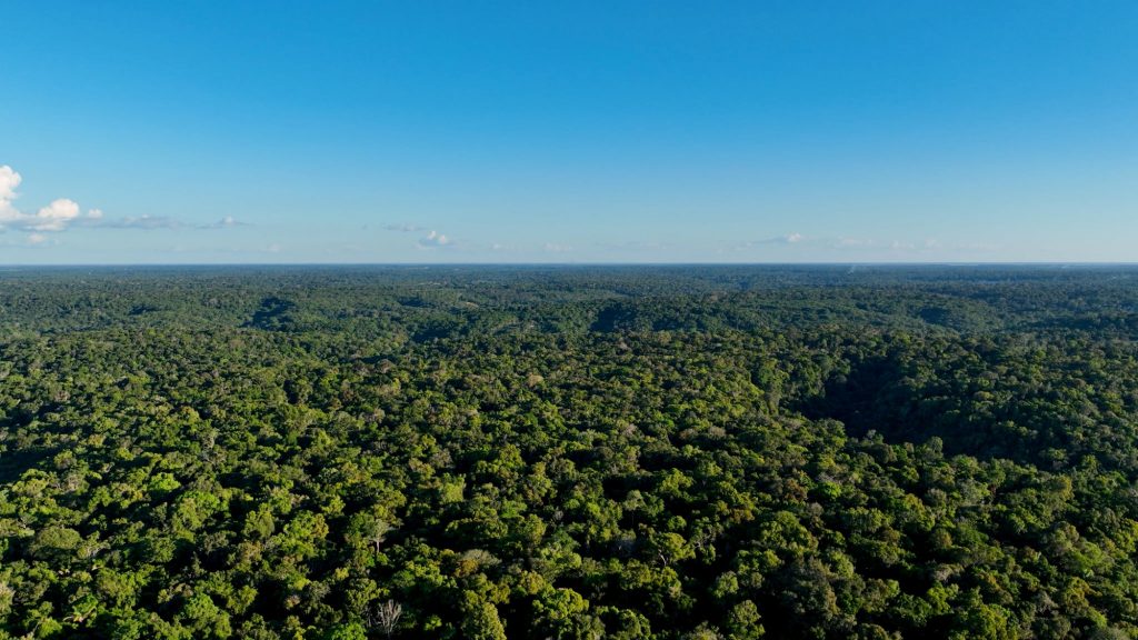 confira-como-o-google-tem-usado-ia-para-tornar-o-mundo-mais-sustentavel