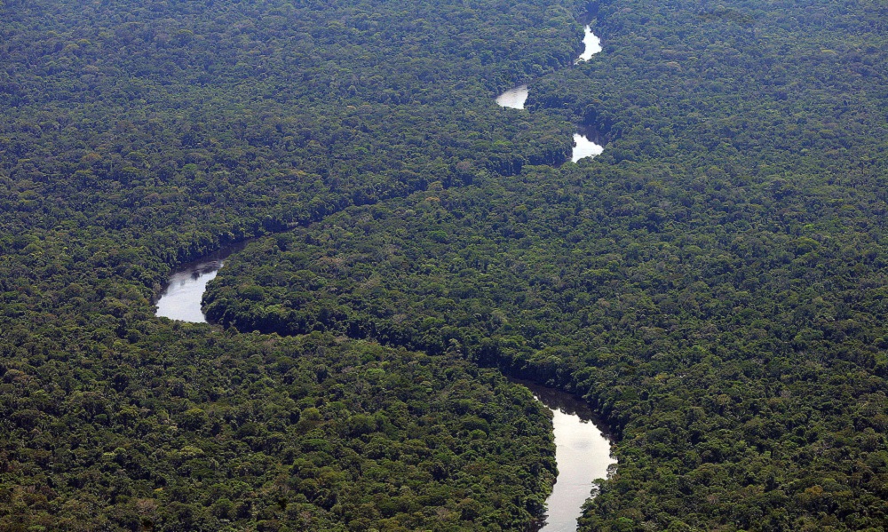 primeiros-editais-para-restauracao-da-amazonia-sao-lancados