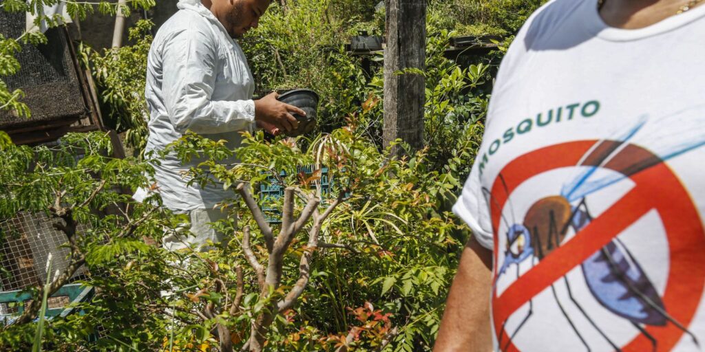 dia-d-contra-dengue-promove-acoes-de-conscientizacao-em-todo-o-brasil