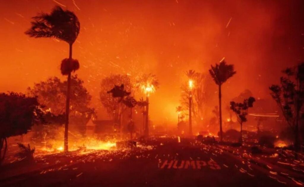 app-monitor-de-incendios-ganha-popularidade-em-catastrofe-de-los-angeles