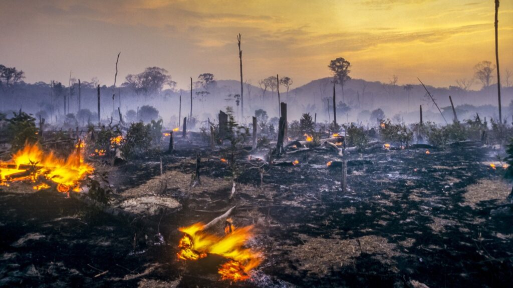 2024-foi-um-ano-de-alerta:-o-que-aprendemos-com-os-extremos-climaticos?