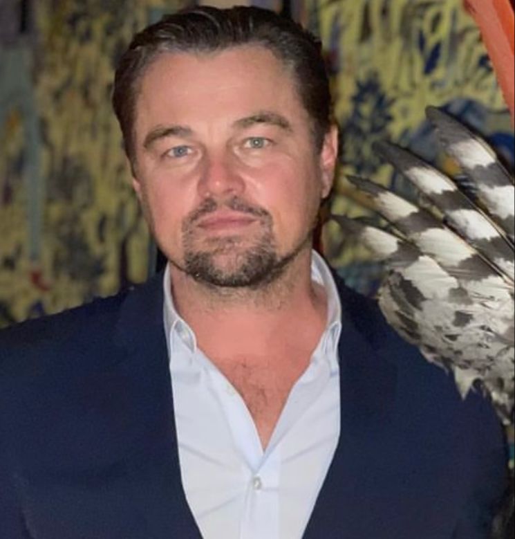 leonardo-dicaprio-perde-mais-de-us$-120-milhoes-em-incendios-em-los-angeles