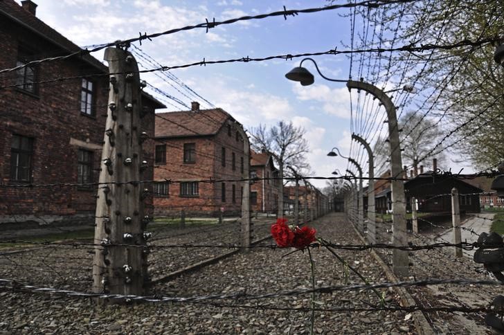 mundo-relembra-os-80-anos-da-libertacao-de-auschwitz