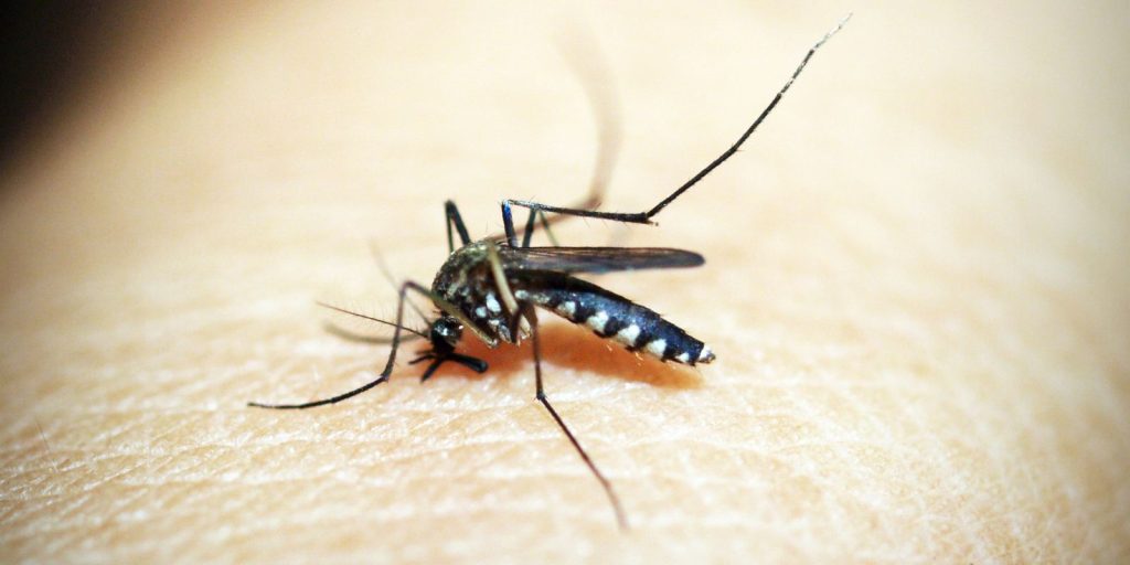 brasileiros-publicam-maior-estudo-ja-feito-sobre-sequelas-do-zika