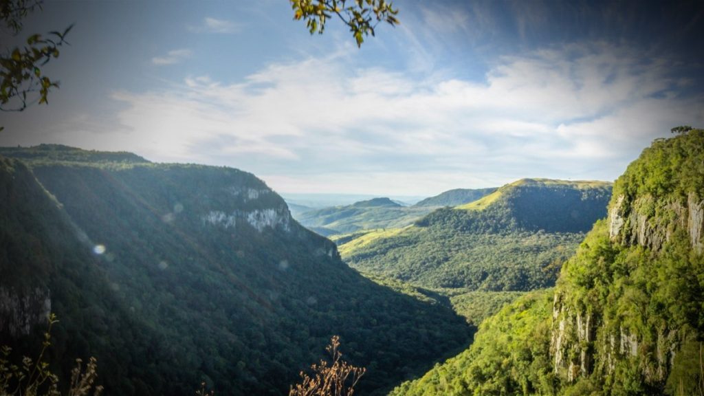 preservacao-ambiental-nao-prejudica-economia-nem-desenvolvimento-social
