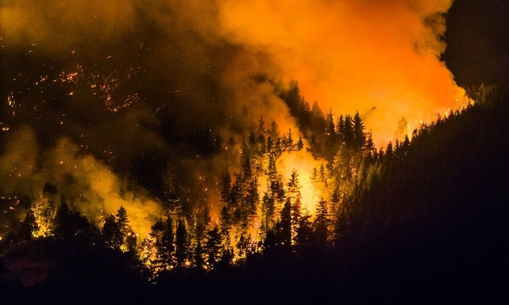 incendio-florestal-atinge-patagonia-argentina-e-consome-mais-de-5.500-hectares