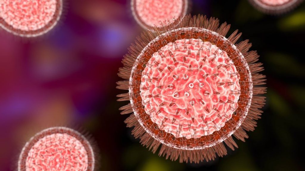 virus-raro-letal-e-identificado-e-gera-alerta-global