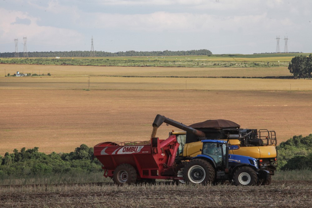 ibge-preve-safra-recorde-de-346-milhoes-de-toneladas-em-2025