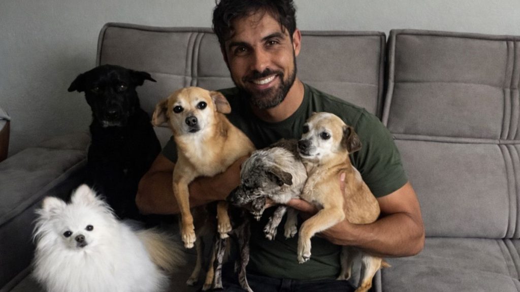 quando-a-violencia-contra-um-cachorro-se-torna-contra-todos