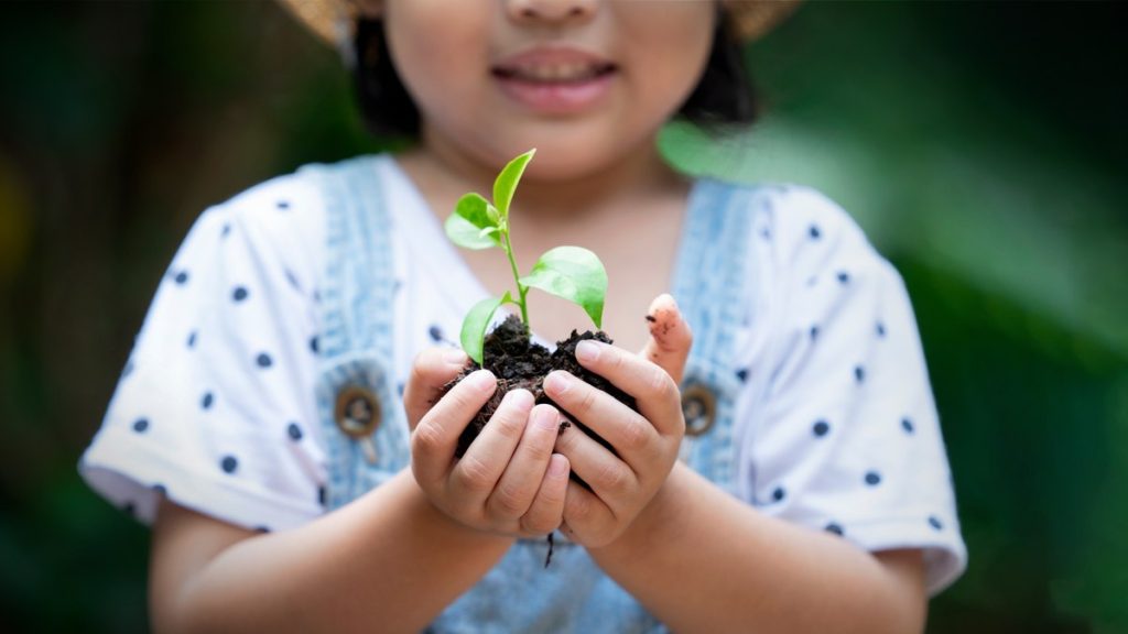como-as-criancas-ajudam-a-tornar-suas-familias-mais-ecologicas