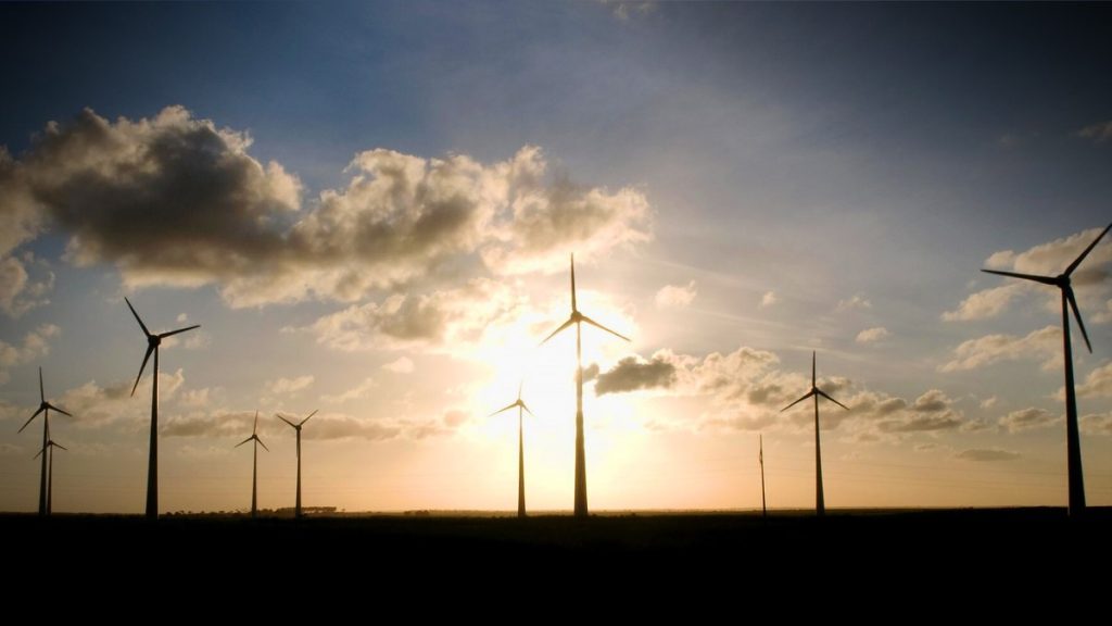 impacto-social-poe-em-xeque-“sustentabilidade”-das-eolicas