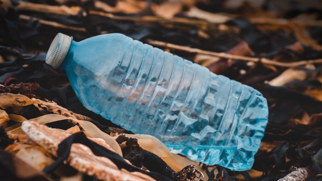 inglaterra-proibe-embalagens-e-produtos-de-plastico-descartaveis