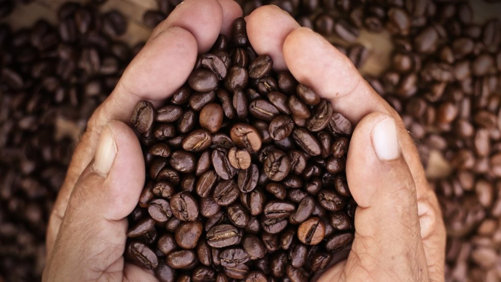 como-o-cafe-pode-contribuir-para-a-mudanca-climatica