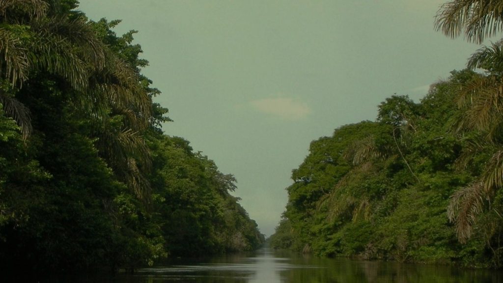 por-que-a-costa-rica-se-tornou-modelo-de-economia-sustentavel