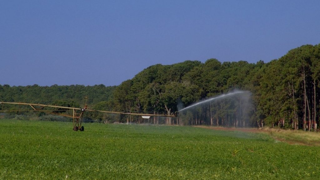 mudanca-climatica-deve-afetar-producao-de-feijao-no-brasil