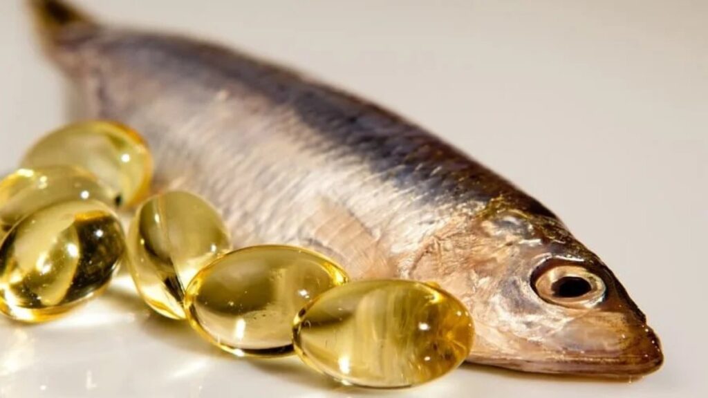 pesquisas-apontam-que-omega-3-reduz-agressividade-em-ate-28%